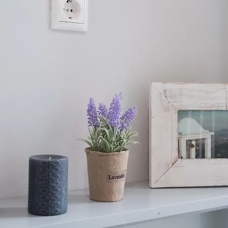 La Casa Rosa Διαμέρισμα *